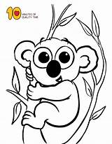 Coloring Koala Pages Animal sketch template