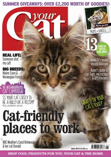 your cat magazine your cat magazine june 2013 subscriptions pocketmags
