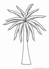 Coloring Palm Pages Tree Trees Printable Color Kids Natural Online Popular Library Clipart sketch template