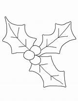 Mistletoe Coloring Pages Printable Imgkid Via sketch template