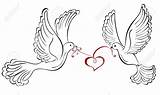 Doves Turtle Colombes Colombe Getdrawings Liefde Taube Lovebirds Obtenir Vogels Hartvormige sketch template