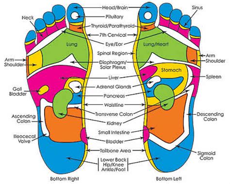 Reflexology The Benefits Just Bea Hypnotherapy And Natural Well Being