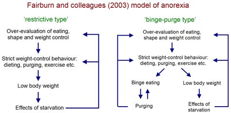 image fairburn et al anorexia model png psychology