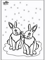 Winter Pages Animals Coloring Rabbits Printable Animal Colouring Color Funnycoloring Template Advertisement Popular sketch template