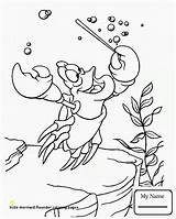 Flounder Coloring Pages Sebastian Little Mermaid Divyajanani sketch template