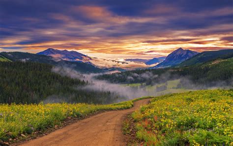 nature landscape sunset wildflowers valley road forest mountain clouds mist wallpapers