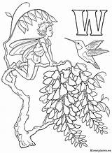 Alfabet Elfjes Kleurplaten Fairies Elves Fairy Wisteria Leren sketch template