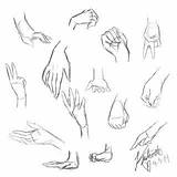 Anime Hand Sketch Hands Drawing Drawings Manga Girls Practice Sketches Draw Body Paigeeworld sketch template