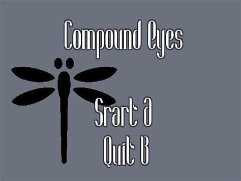 Compound Eyes [all Sources] Dlsite 同人 R18