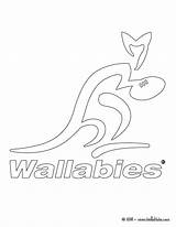 Wallaby Coloring Rugby Wallabies Australia Team Designlooter Template 35kb sketch template