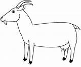 Goat Coloring sketch template