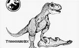 Baryonyx Malvorlage Dinosaurier sketch template