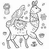 Llama Llamas Adults Coloration Parrot Perroquet Alpaca Mandala Jugofmilk sketch template
