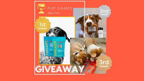 pup games event   trick giveaway youtube
