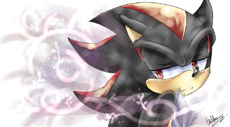 is this a date i ll protect you always shadow the hedgehog x reader