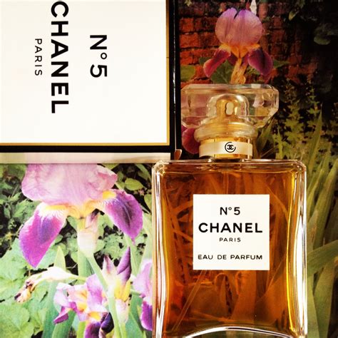 perfume notes chanel   surrey edit