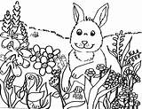 Spring Coloring Pages Themed Getcolorings sketch template