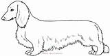 Dachshund Long Haired Deviantart Lines Coloring Pages Hair Dogs Dachshunds Explore sketch template