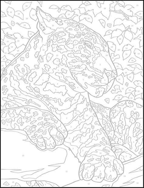 color  number printable coloring pages  getcoloringscom