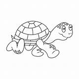 Tortoise Walking Turtle Colorless sketch template