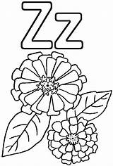 Coloring Zinnia Alphabet Flower Kids Pages Beautiful Girls sketch template