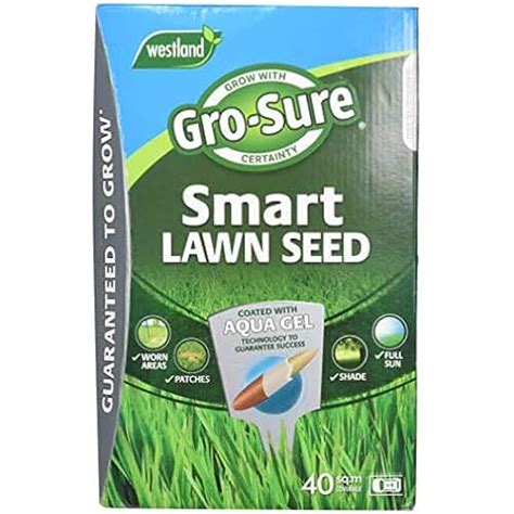 amazoncouk fast growing grass seed