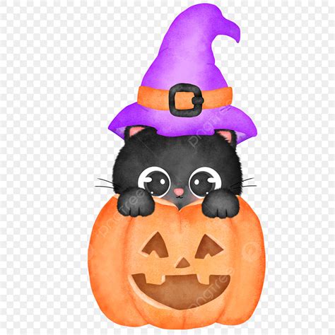 black cat halloween vector hd images halloween black cat  pumpkin