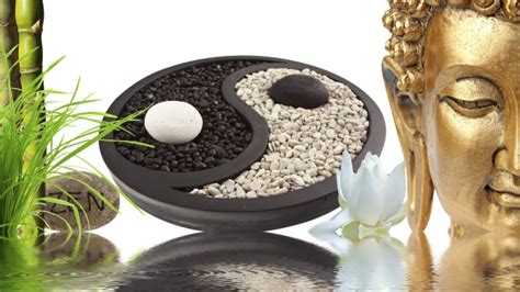 massagem yin yang medicina tradicional chinesa