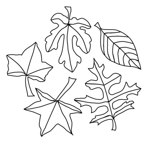 leaf print  az coloring pages