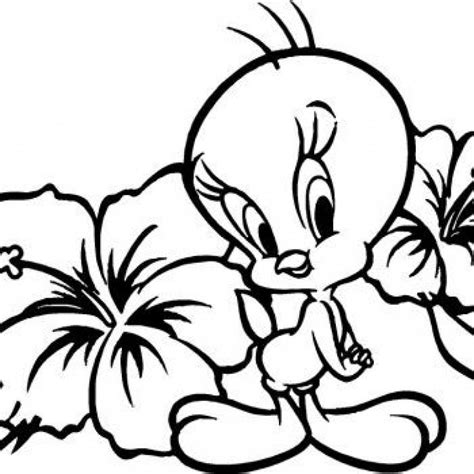 tweety bird coloring page  svg file  silhouette