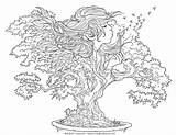 Bonsai Coloring Pages Wishes Bonsaï Meadowhaven Printable Flower Grant Wish Colors After Some Make Will Flowers Vegetation Adult sketch template