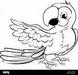 Parrot Pointing Alamy sketch template