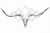 Longhorn sketch template