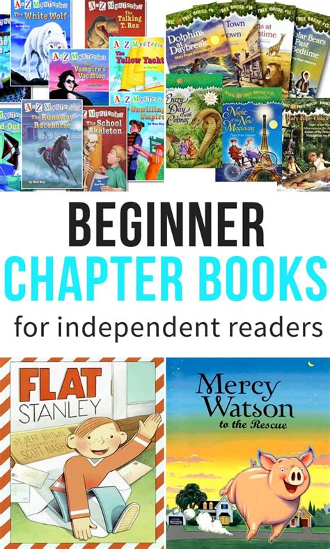 beginner chapter books  independent readers   wiser