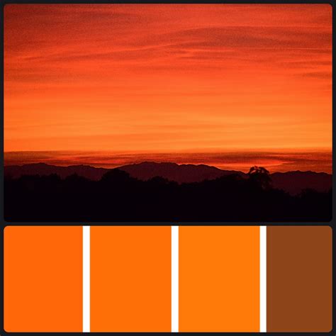 shades  orange color palette offeo