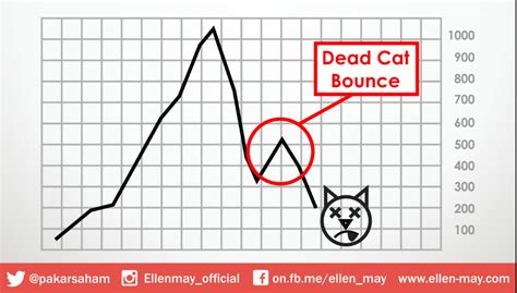 The Dead Cat Bounce Trading Strategy Ellen May Institute