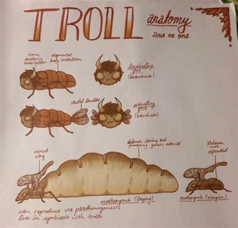 Troll Anatomy On Tumblr