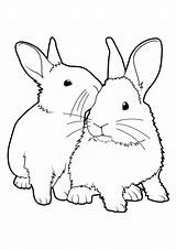 Lapin Lapins Iepurasi Realiste Paques Rabbit Colorat Colorier Dessins Conejo Gulli Nain Desene Iepuri Animalitos Conejos Mignon Imagen Poussin Copii sketch template