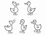Coloring Duck Five Ducks Baby Oregon Color Pages Template Logo Print Netart Printable Getcolorings Impressive sketch template