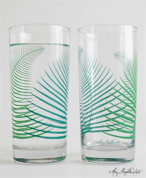 Summer Ferns Glassware Set Of 2 Everyday By Maryelizabetharts