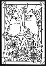 Coloring Pages Birds Stained Glass Cardinals Cardinal Adult Bird Book Dover Beautiful Printable Pairs Color Patterns Adults Publications Football Mated sketch template