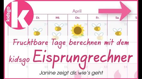 schwanger werden berechnen schwanger werden die fruchtbaren tage berechnen eisprung berechnen