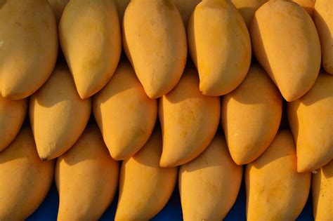 4 most common kinds of philippine mangoes