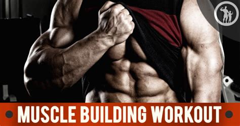 Muscle Building Workouts For Men Power At Any Age Fit Father Project