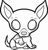 Coloring Pages Dog Chihuahua Puppy Cute Face Dogs Netart Drawing Getdrawings sketch template