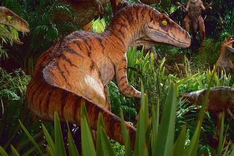 Velociraptors Appearance In Films Dinomake