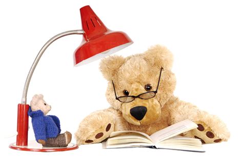 teddy bear reading book lr  liane risswestend