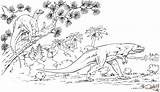 Coloring Megalosaurus Pages Dinosaur Hypsilophodon Printable sketch template