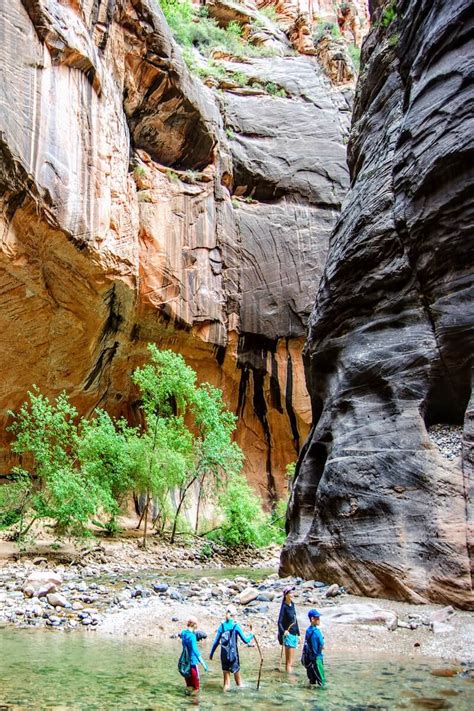 helpful tips   zion narrows hike  kids