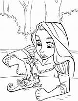 Rapunzel Coloring Pages Pascal Coloriage Raiponce Colorare Da Disney Disegni Livre Shopkins Enregistrée Depuis Gratuit sketch template
